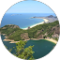 M S. Avatar